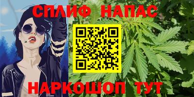 сатива Тверь
