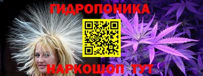 сатива Тверь