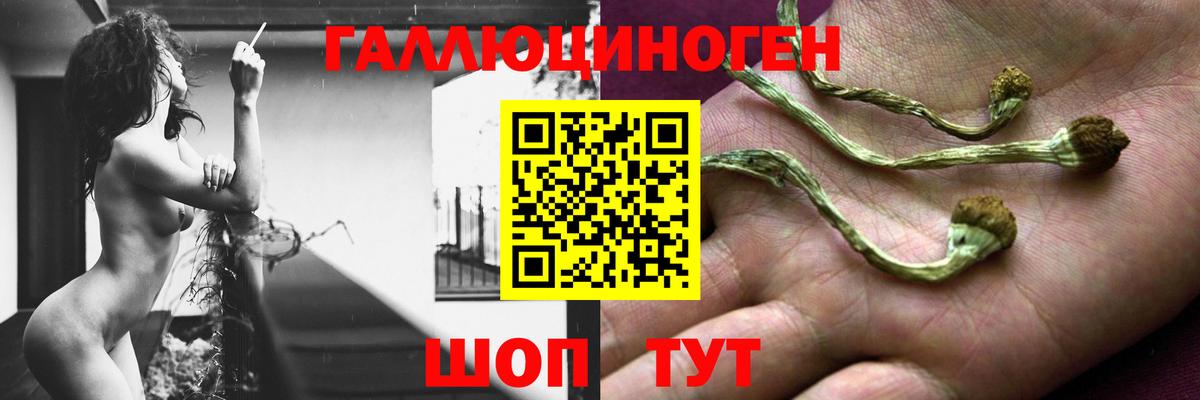 Псилоцибиновые грибы MAGIC MUSHROOMS Нефтеюганск